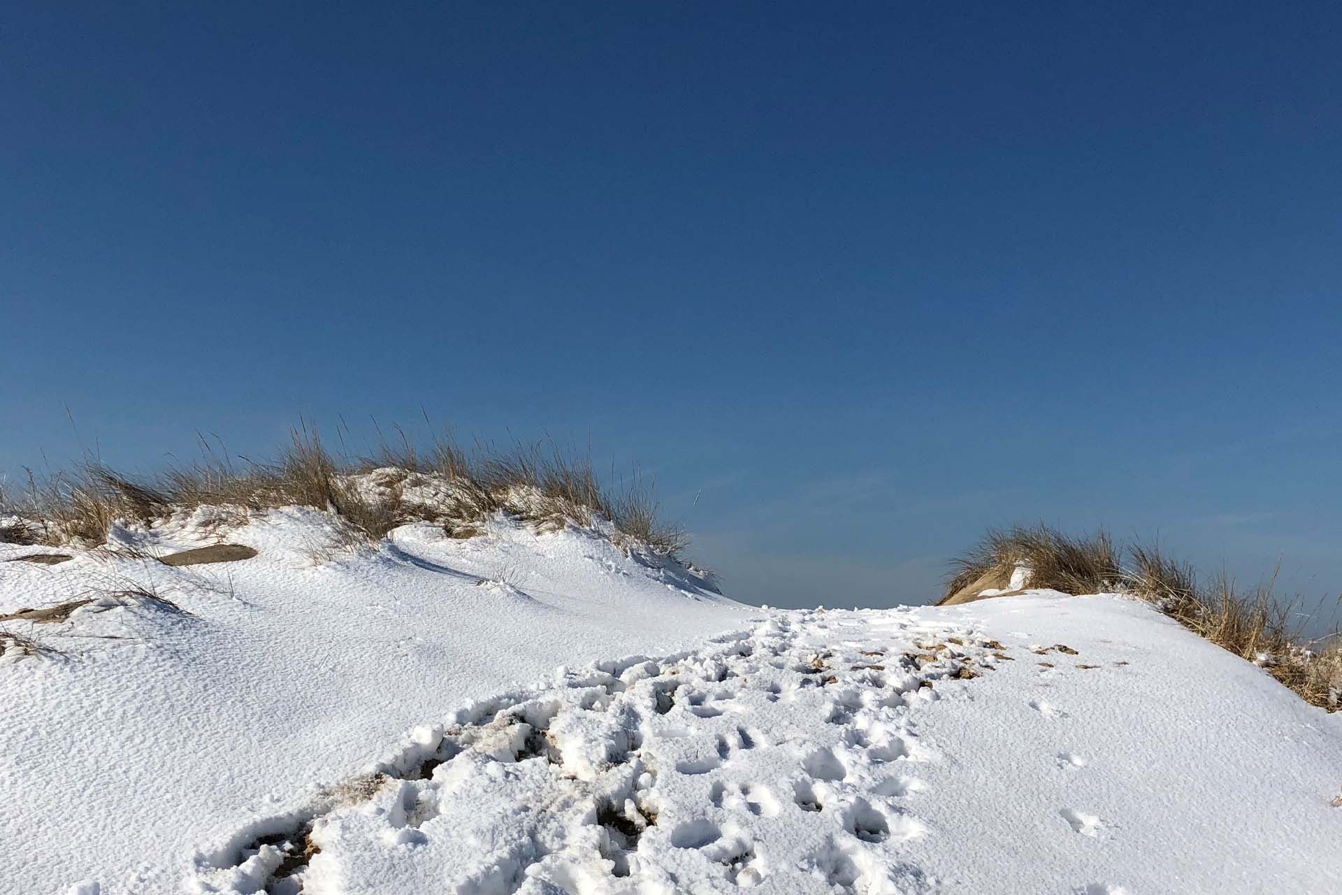 First Encounter Beach, Eastham MA